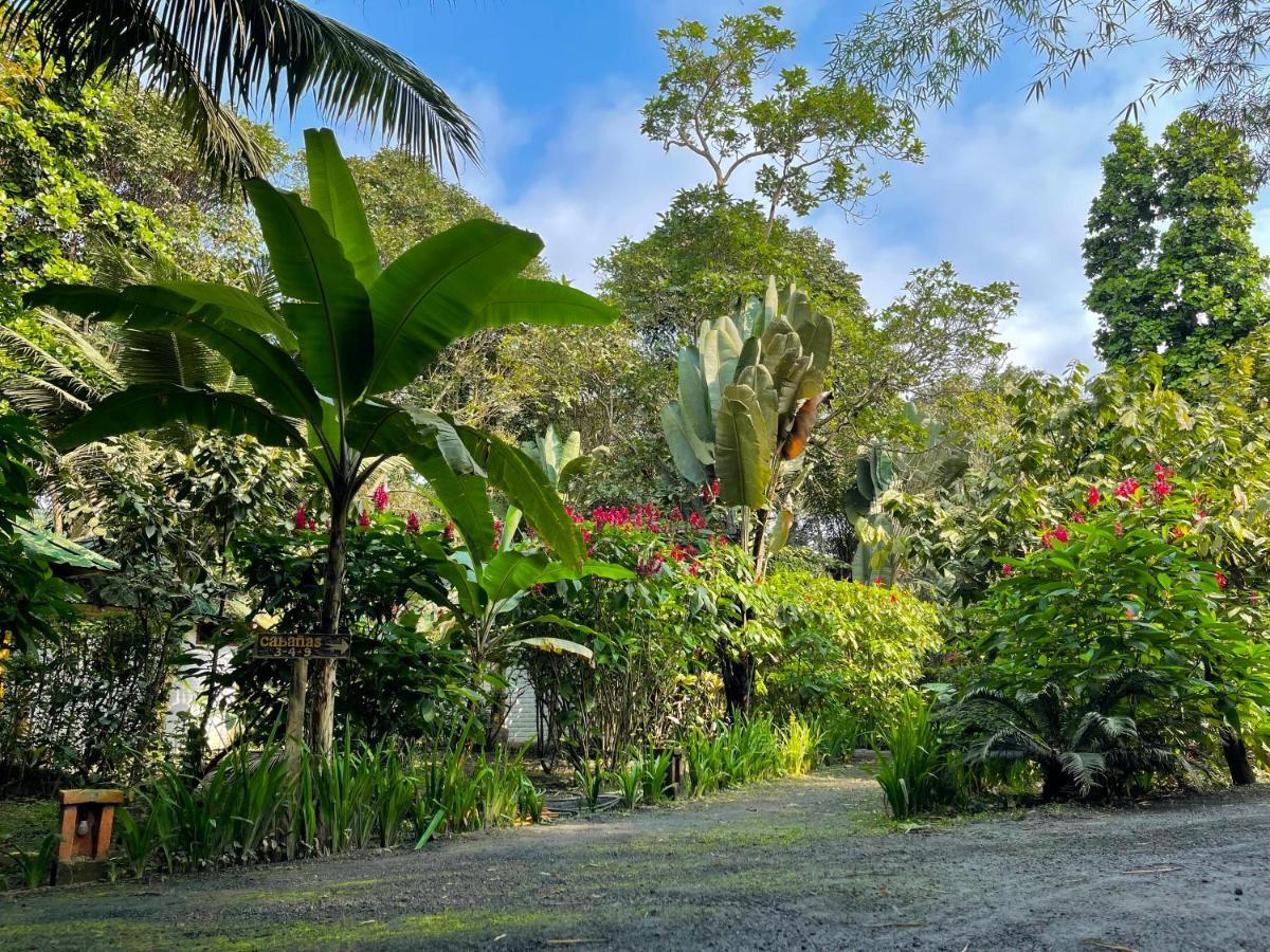 El Campito Lodge أيامبي المظهر الخارجي الصورة