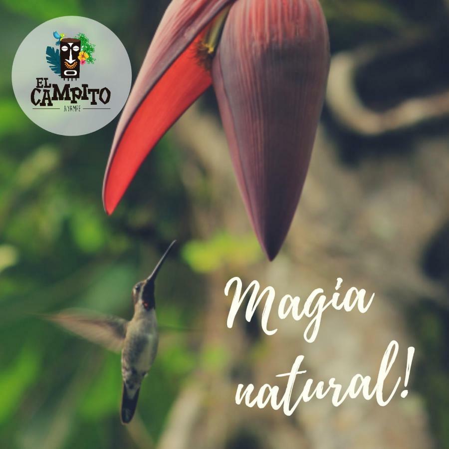 El Campito Lodge أيامبي المظهر الخارجي الصورة
